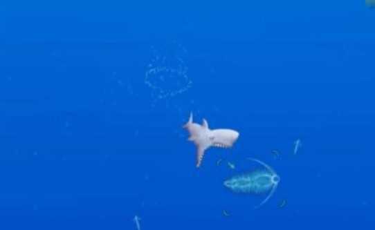 未知海域-游戏截图1