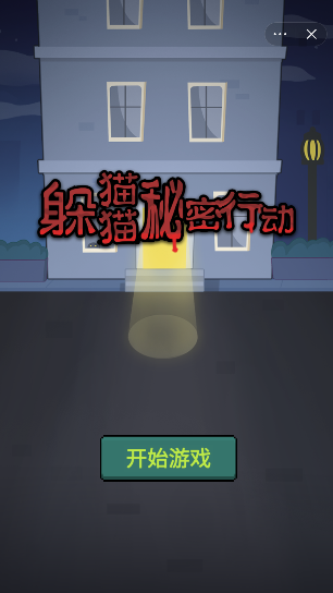 躲猫猫秘密行动-游戏截图2