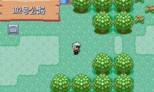 口袋妖怪绿宝石386-游戏截图2