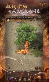 怒火合击狂暴版游戏截图3