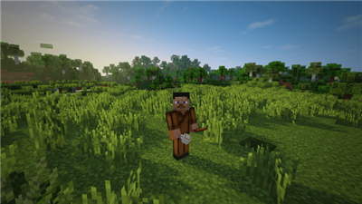 我的世界咖啡公益mod-游戏截图3