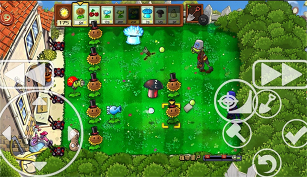 植物大战僵尸est版游戏截图2