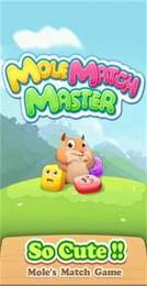 鼹鼠匹配大师-游戏截图1