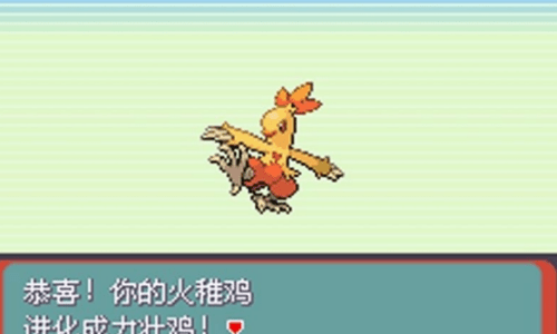 口袋妖怪绿宝石386-游戏截图3