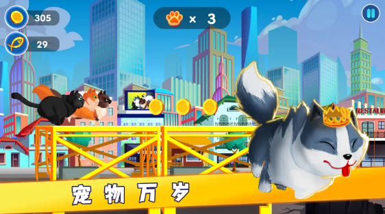 宠物救援任务-游戏截图2