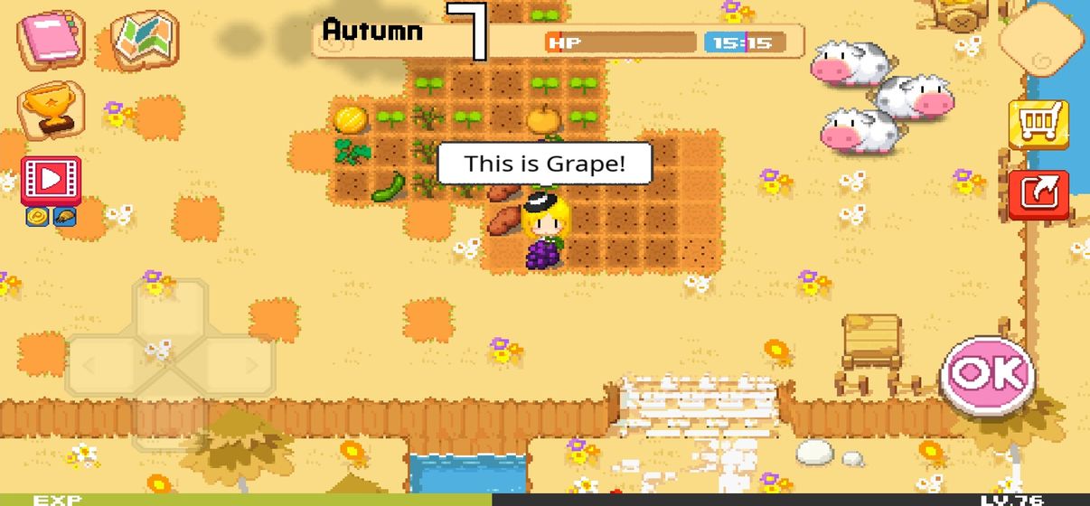 公主的农场故事游戏截图3