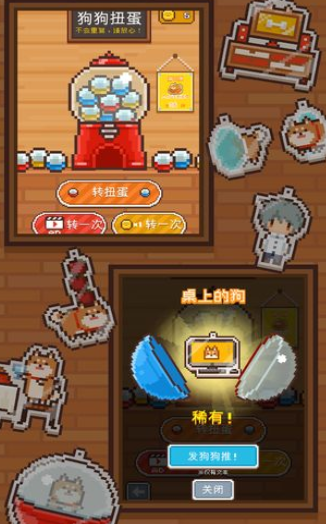 我们去抓猫游戏截图2