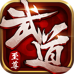 武道至尊私服满v版