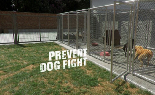 动物庇护所游戏截图2