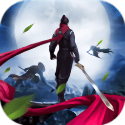 将军在上流浪江湖小米版