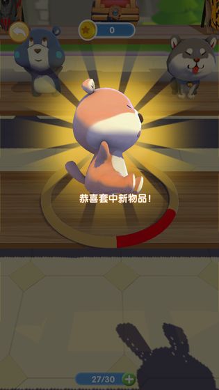 套圈我最牛游戏截图2