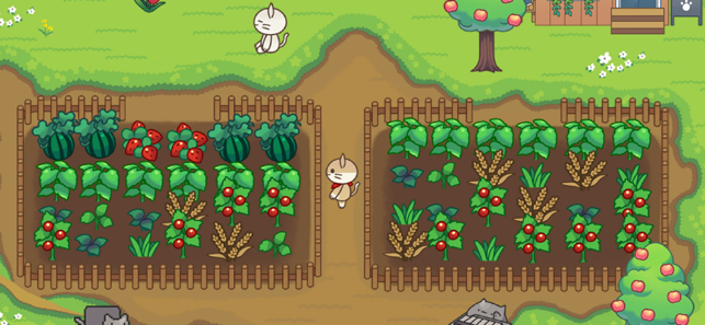 猫咪森林游戏截图4