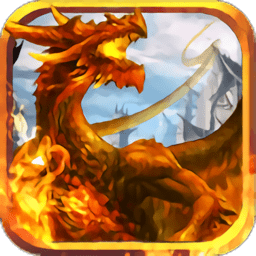 龙之荣耀国际服