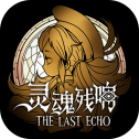 灵魂残响安卓版