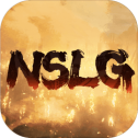 代号NSLG