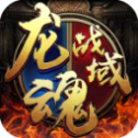 龙魂战域传奇