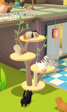 我需要猫咪游戏截图2