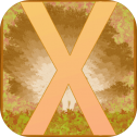 凩秩Xylon