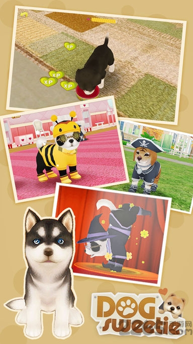 心动小狗4399版-游戏截图1