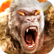 屠龙定乾坤单职业