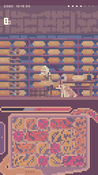 肾之夏季游戏截图2