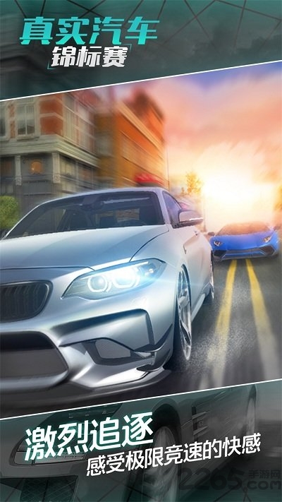 真实汽车锦标赛官方版游戏截图3