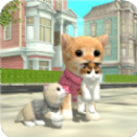 小猫咪模拟器
