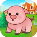 天天养金猪手游