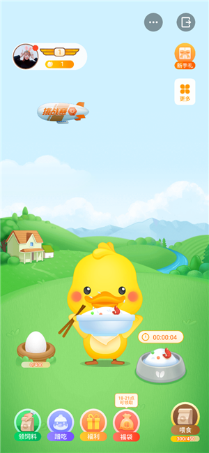丫鸭梦想家游戏截图2