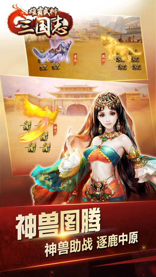 三国志之雄霸武神游戏截图1