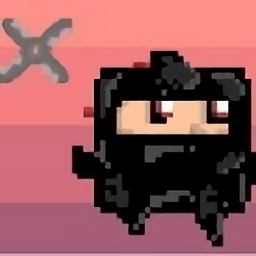 随机忍者内购破解版