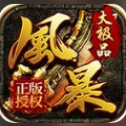 风暴大极品