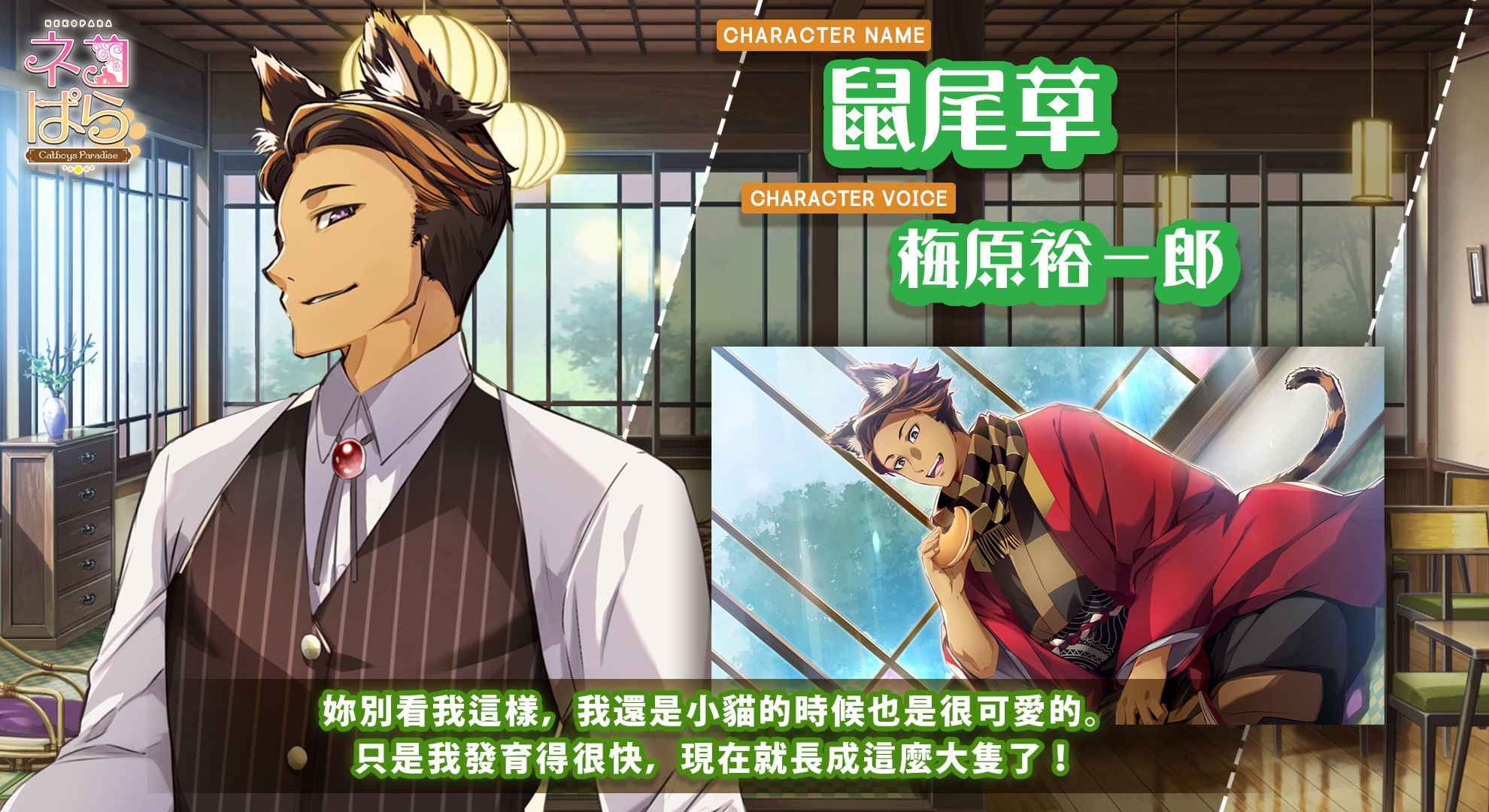 猫郎乐园手机版游戏截图3