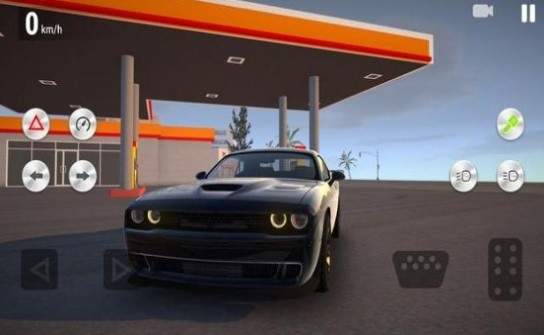 真正的驾驶模拟游戏截图2