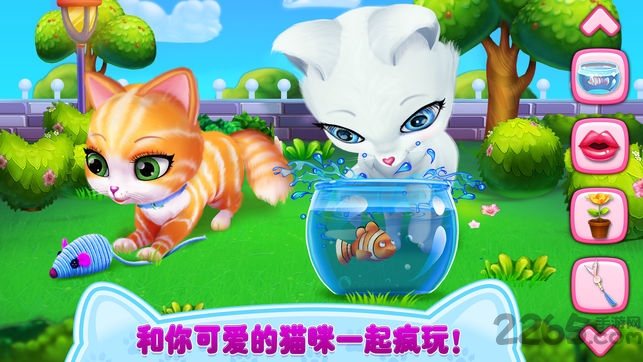 猫咪之恋内购破解版游戏截图3