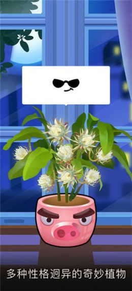 我有个花园极速版游戏截图2