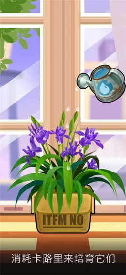 我有个花园极速版游戏截图3