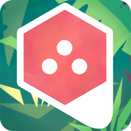 六边形数独破解版