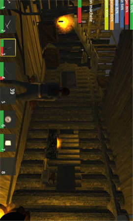 繁荣的小岛生存-游戏截图2