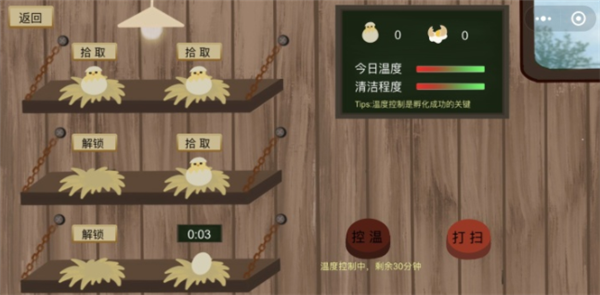 快来喂鸡游戏截图2