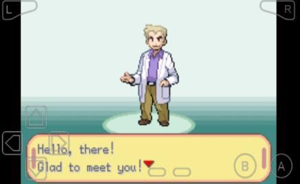 口袋妖怪特别篇游戏截图3