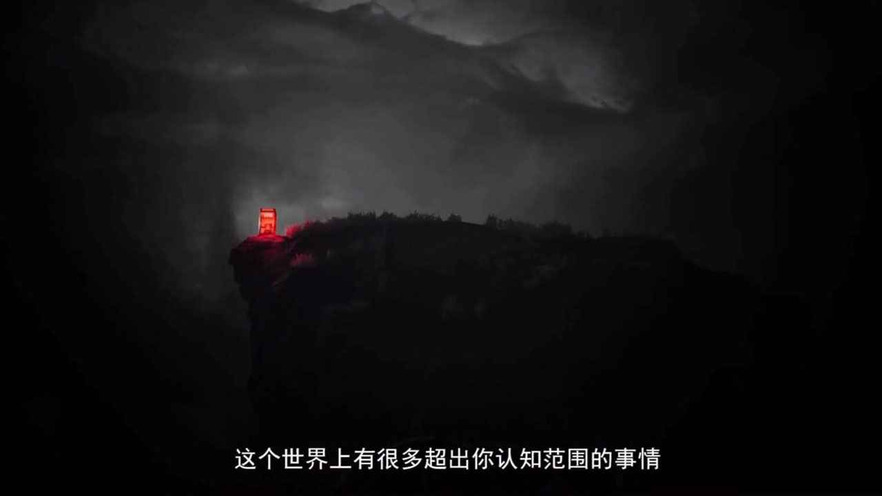 代号档案游戏截图3