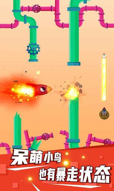 疯狂的小鸟-游戏截图1