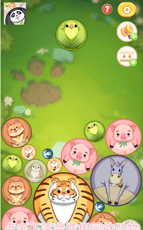 合成大熊猫红包版-游戏截图1