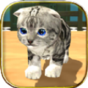 猫咪模拟器中文版